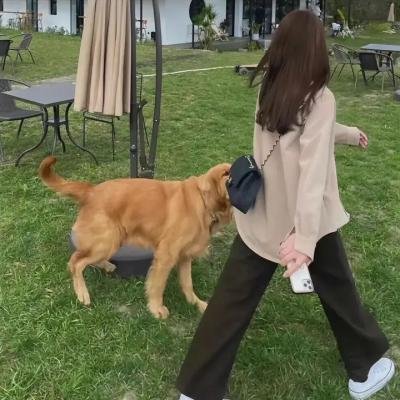 魅力姐妹淘